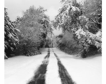 fotografía en blanco y negro, paisaje invernal, fotografía de invierno, impresión de paisaje invernal, invierno en blanco y negro, camino de invierno