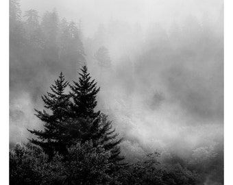 black and white photography, mountain photography, landscape photography, smoky mountains, Appalachian art, mountain print, tree print