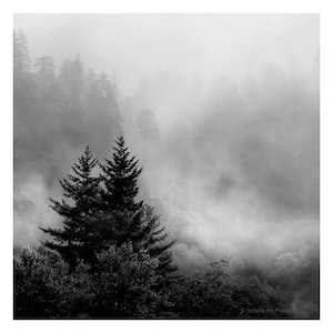 black and white photography, mountain photography, landscape photography, smoky mountains, Appalachian art, mountain print, tree print