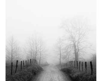 camino rural en blanco y negro, paisaje brumoso, fotografía de calas cades, impresión de camino rural, arte de los Apalaches, paisaje rústico