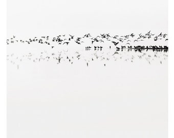 minimalist black and white photography, lake house decor, lake photography, white art, black and white lake, birds, bird print, minimal
