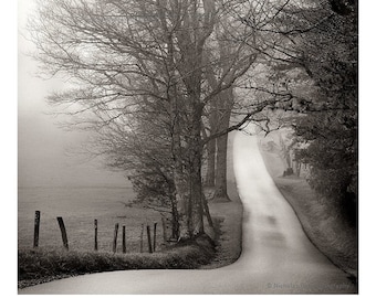 Arte de granja, fotografía de paisajes, fotografía de Cades Cove, camino rural, paisaje rural, caminos rurales, fotografía rústica, sepia