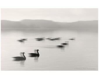 lake photography, lake house art, lake print, Canada geese, fine art photography, lake wall art, sepia lake print