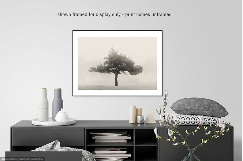 landscape photography minimalist landscape trees in fog photography trees sepia photography tree photography fog photography minimal
