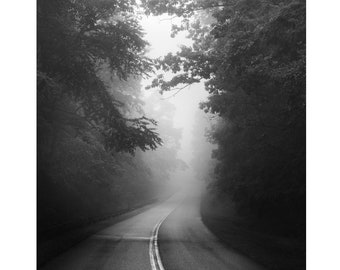 black and white photography, landscape photography, road photography, roads, foggy road, black and white landscape