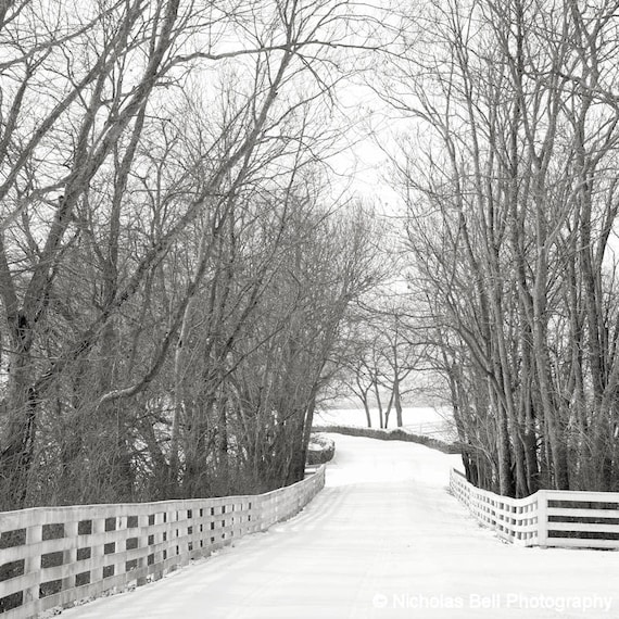 winter photography, winter landscape print, landscape photography, snow, black and white photography, winter print, rustic, farmhouse