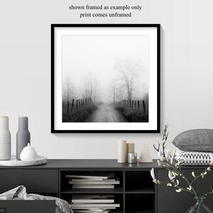 foggy landscape, country road in fog.