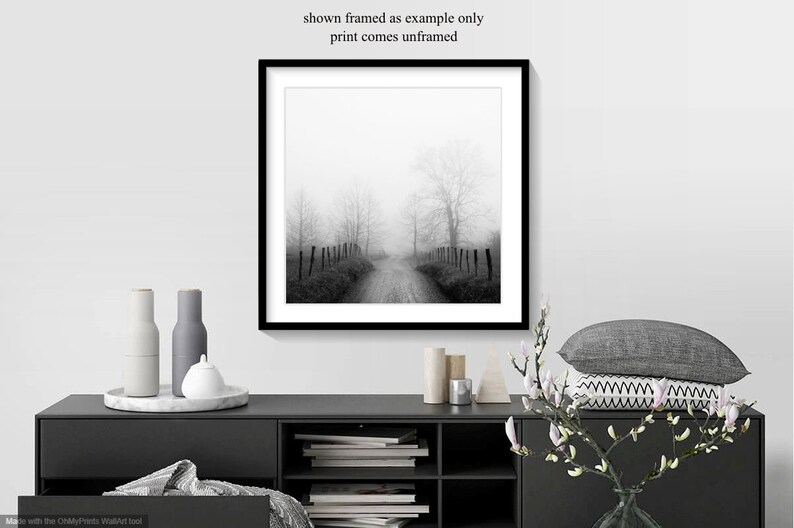 foggy landscape, country road in fog.