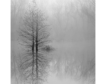 black and white photography, tree print, tree photography, lake house art, foggy lake print