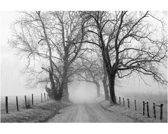 country road photography, black and white, Appalachia, farmhouse decor, rural landscape, cades cove