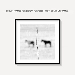 Puede incluir: Fotograf&iacute;a en blanco y negro de dos caballos en un campo nevado con una rama de &aacute;rbol desnuda en primer plano. Los caballos est&aacute;n desenfocados y la nieve est&aacute; cayendo.