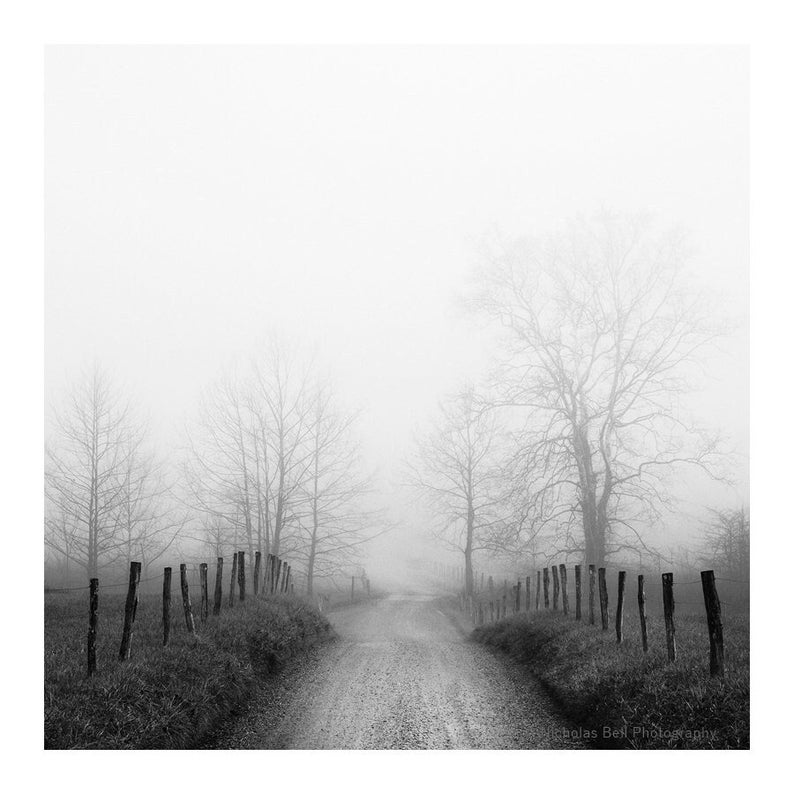 black and white country road in fog.