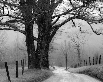 Fotografía de Cades Cove, paisajes en blanco y negro, caminos rurales, arte de granjas