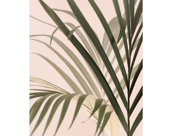 Palm tree photography, beach house art, palm leaves print, tropical wall art, colors, green, pink, beach decor