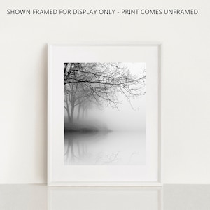 black and white photography, landscape photography, nature photography, trees in fog, tree photography, winter landscape photography image 3