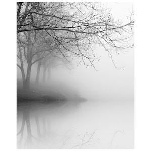 black and white photography, landscape photography, nature photography, trees in fog, tree photography, winter landscape photography image 1