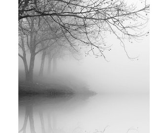 black and white photography, landscape photography, nature photography, trees in fog, tree photography, winter landscape photography