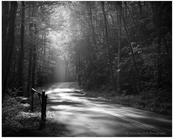 black and white photography, road photography, landscape photography, foggy road print, black and white landscape