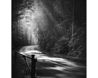 black and white landscape photography, smoky mountains, landscape print, black and white photography, road photography, Ethereal Lane No. 2