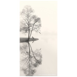 May include: A black and white photograph of a tree reflected in a still body of water. The tree is bare and the water is calm and still. The background is a light gray color. The photo is titled Tranquil Lake.