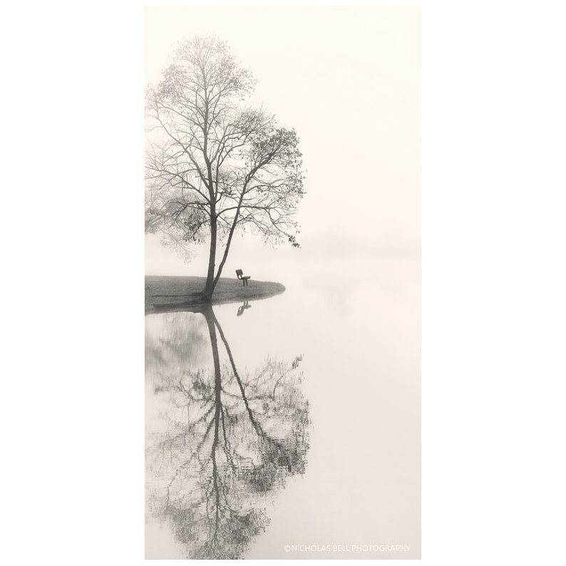 May include: A black and white photograph of a tree reflected in a still body of water. The tree is bare and the water is calm and still. The background is a light gray color. The photo is titled Tranquil Lake.