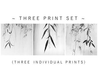 photography print set, black and white print set, minimalist photography, black and white print set, photography, zen, spa, willow