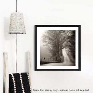 May include: A black and white photograph of a winding road through a foggy forest. The road is lined with trees on both sides, and the fog creates a sense of mystery and intrigue.