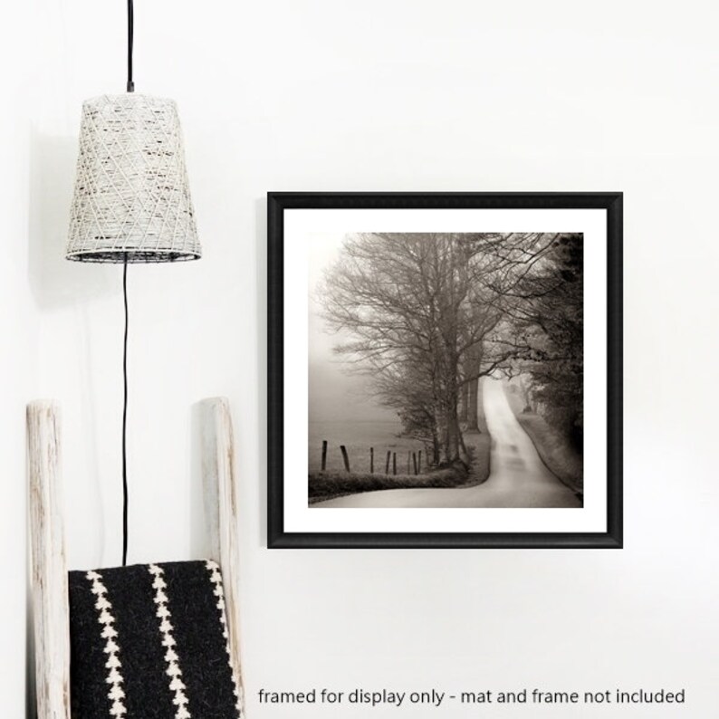 May include: A black and white photograph of a winding road through a foggy forest. The road is lined with trees on both sides, and the fog creates a sense of mystery and intrigue.