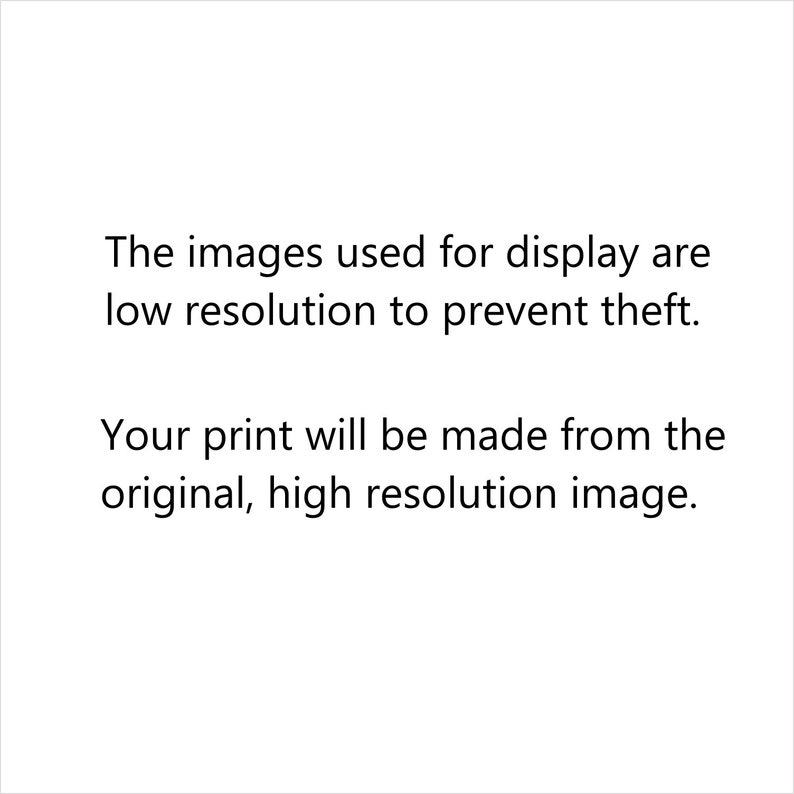 May include: Text on a white background that reads: "The images used for display are low resolution to prevent theft. Your print will be made from the original, high resolution image."