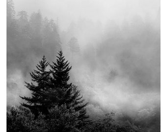 black and white photography, mountain photography, landscape photography, smoky mountains, Appalachian art, mountain print, tree print