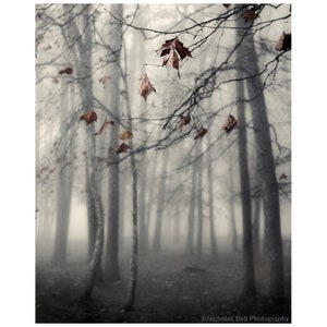 fall photography, tree print, nature photography, landscape, fall print, fog, mood, tree photography, trees, fall, winter, Autumn's End image 1