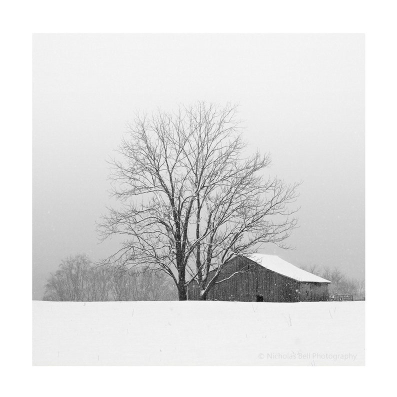 black and white barn photography, barn print, farmhouse art, Appalachia, barn photography, winter landscape image 1