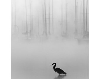 heron print, heron photography, lake house art, black and white lake print, great blue heron, sailboat print, minimalist black and white