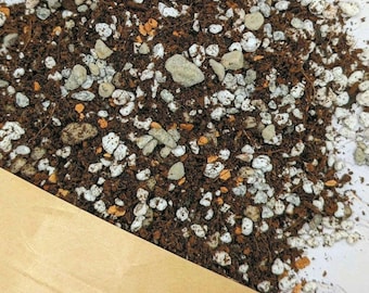 Fast-Draining Succulent & Cactus Potting Soil: Mineral-Rich Mix