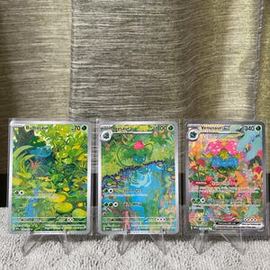 Può includere: Tre carte collezionabili Pokémon esposte in bustine protettive trasparenti. Le carte raffigurano Bulbasaur, Ivysaur e Venusaur ex, ognuna con illustrazioni dettagliate e colorate dei personaggi in ambienti naturali, con testo e statistiche.
