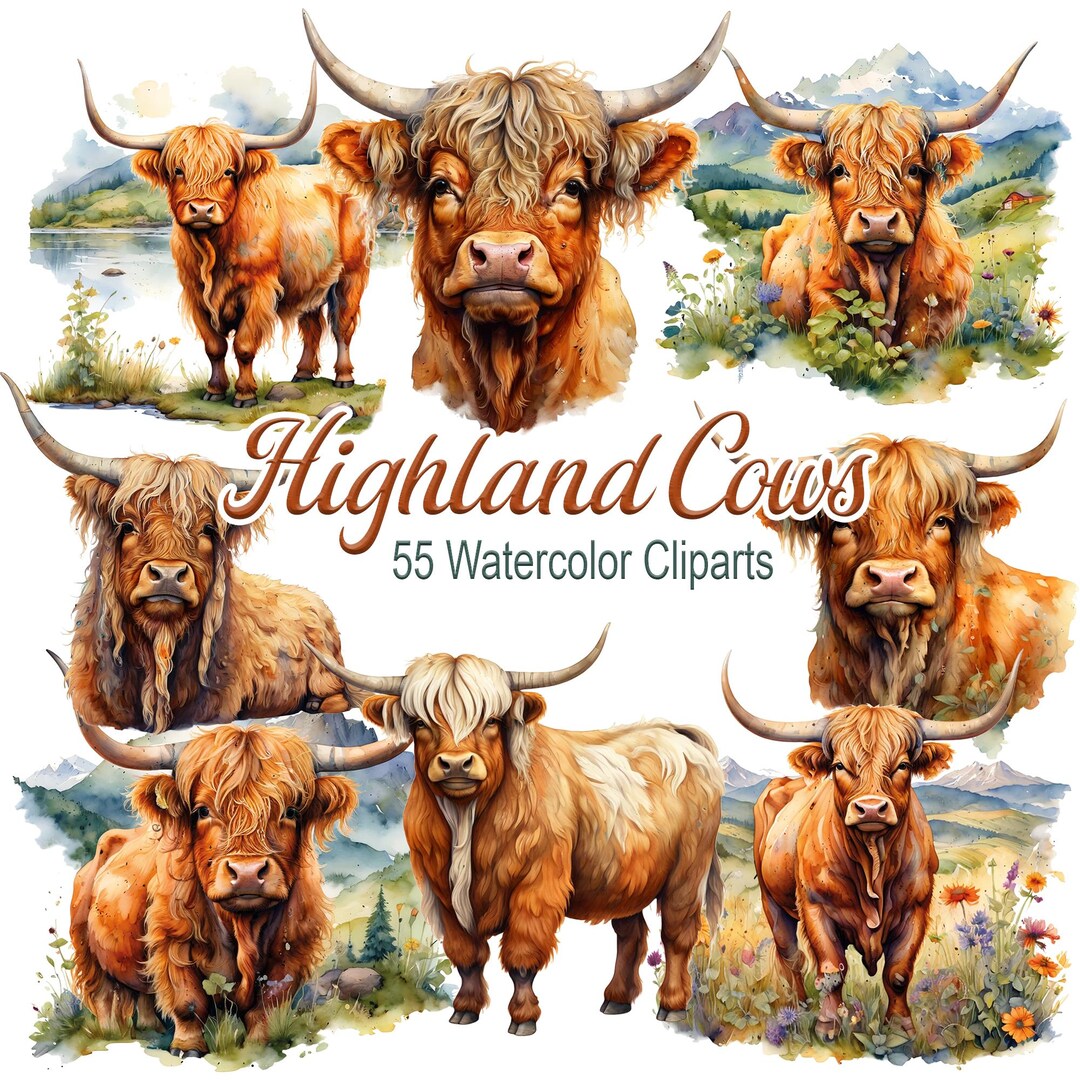 Highland Cow Watercolor Clipart Pack, Highland Cow Illustrations ...