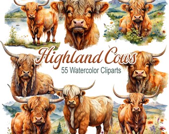 May include: Watercolor clip art set featuring Highland Cows in various poses. The images showcase the cows' distinctive long horns and shaggy coats in shades of brown and orange. The text "Highland Cows 55 Watercolor Cliparts" is also included.
