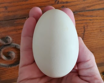 4 Goose Eggs, Empty Blown Out Goose Eggs for Pysanky Art