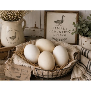 4 Goose Eggs, Empty Blown Out Goose Eggs for Pysanky Art, Egg Art Supplies