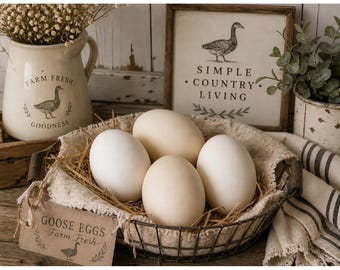 4 Goose Eggs, Empty Blown Out Goose Eggs for Pysanky Art, Egg Art Supplies