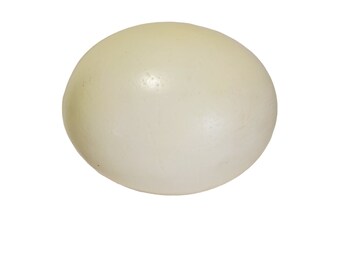 1 Ostrich Egg,  Empty Ostrich Eggshell,  Blown Out Ostrich Egg