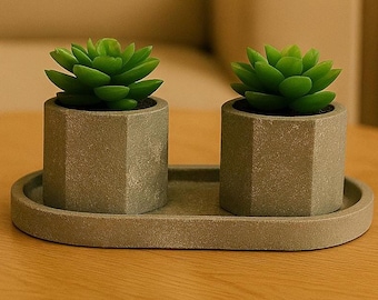 Mini Stone Concrete Planter Set – Succulent Pot & Tray / Desk Decor