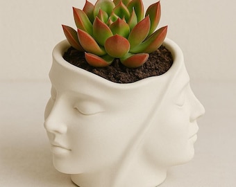 Charming Handmade Face Planter Pot: Bohemian Vase for Succulent Gardening