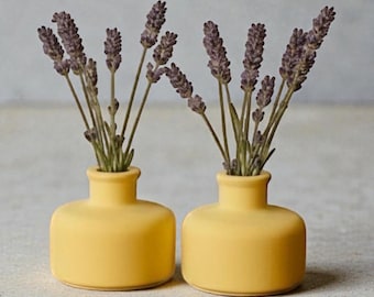 Pastel Yellow Bud Vase Set, Concrete Mini Vases