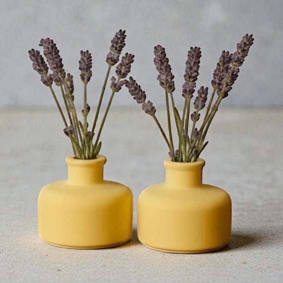 Pastel Yellow Bud Vase Set, Concrete Mini Vases