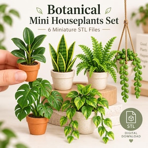 Könnte beinhalten: Ein Set aus sechs botanischen Miniatur-Zimmerpflanzen in verschiedenen Töpfen, darunter ein Gummibaum, Bogenhanf, Farn, Erbsenpflanze, Monstera und Efeutute. Der Text lautet Botanical Mini Houseplants Set 6 Miniature STL Files und STL Digital Download.