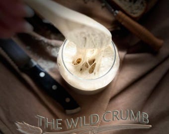 May include: A clear glass filled with bubbly, off-white sourdough starter. A wooden spoon is scooping out the starter. A black knife and a slice of bread are in the background. The text "THE WILD CRUMB" is at the bottom.