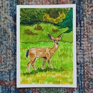 May include: Watercolor painting of a deer in a grassy field with a forest background. The deer is brown with a white underbelly and is standing in a green field. The forest is a mix of green and yellow.