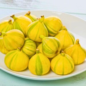 May include: A white plate filled with ripe figs. The figs are yellow with green stripes, and have a small stem. The figs are arranged in a pile, with some overlapping. The plate is on a light blue surface.