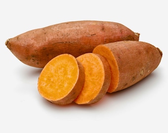 Sweet Potato Seeds for Planting Heirloom Vegetable Garden Outdoor Growing